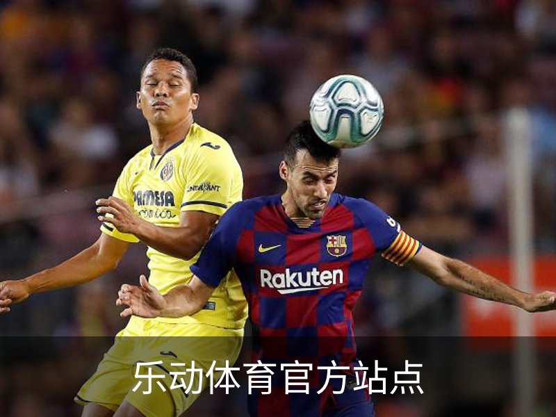 乐动体育官方站点简介